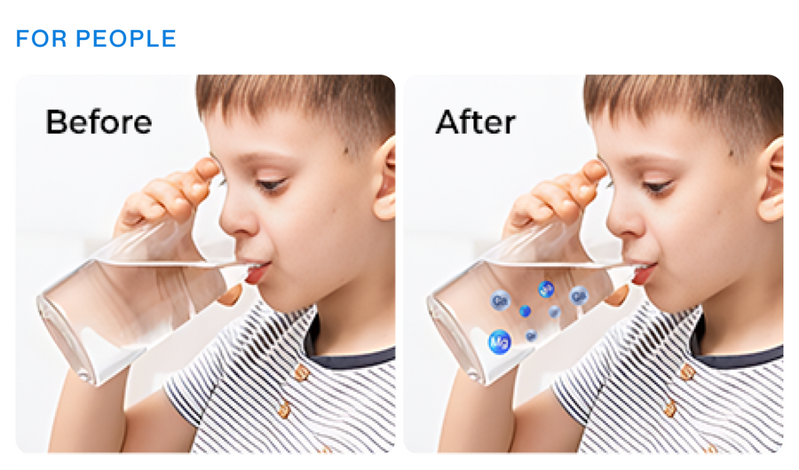Checkout Before vs After Results with Scale-O