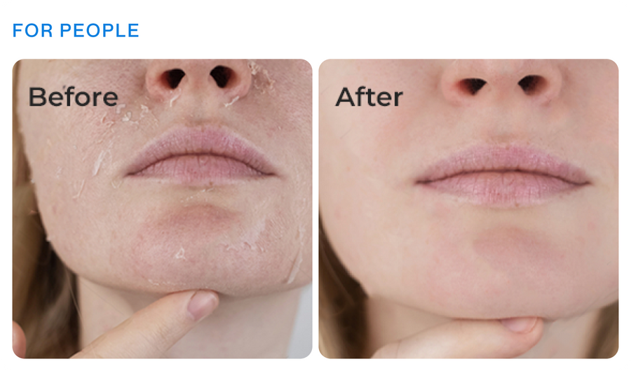 Checkout Before vs After Results with Scale-O